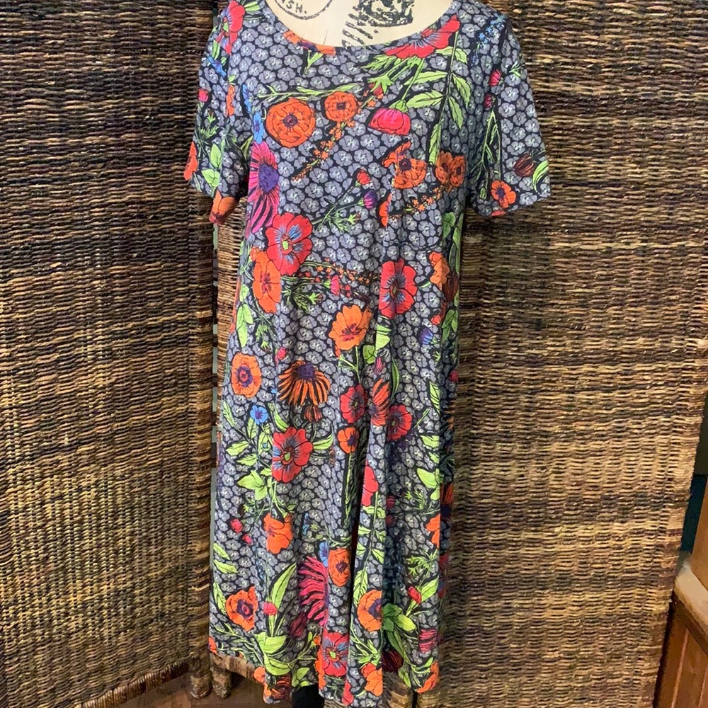 XL Lularoe Carly multi color